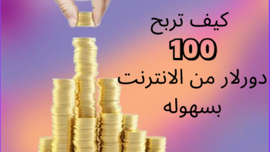 الربح من الإنترنت، 100 دولار يوميًا